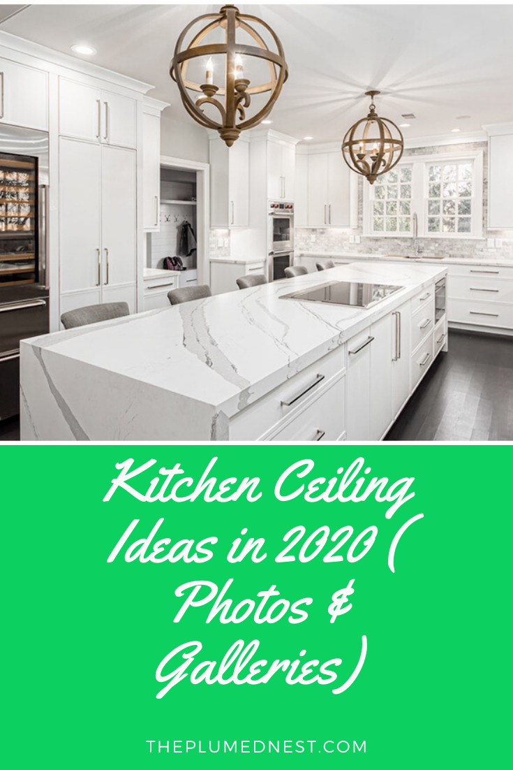 18 + Kitchen Ceiling Ideas in 1822 Photos & Galleries   The Plumed ...