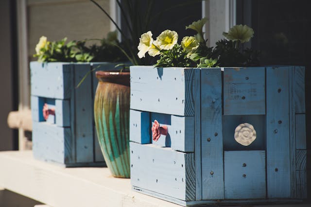 Wooden crates turned into planters.